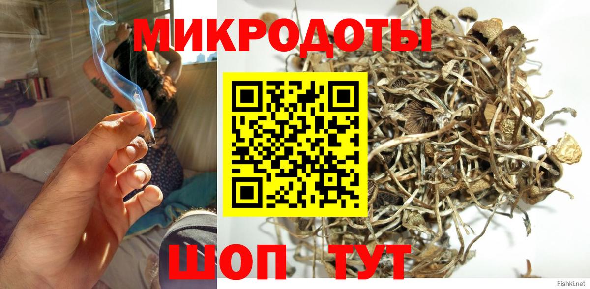 купить наркотики сайты  Псилоцибиновые грибы GOLDEN TEACHER  Тосно  Вход с VPN  Псилоцибиновые грибы мицелий 